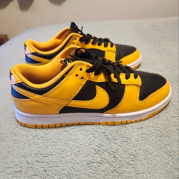 Nike Other - Men's Nike DUNK low retro Championship sneakers